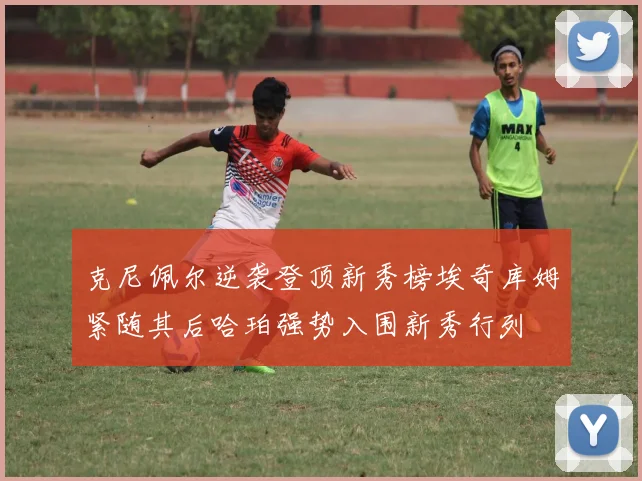 克尼佩尔逆袭登顶新秀榜埃奇库姆紧随其后哈珀强势入围新秀行列